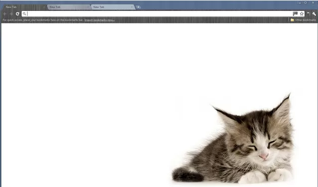 cute kitten best google chrome themes of 2013